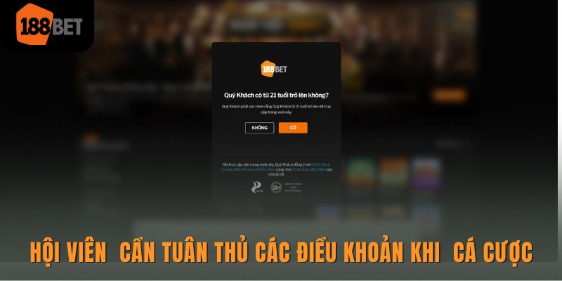 Hội viên của 188BET cần tuân thủ các điều khoản khi tham gia cá cược